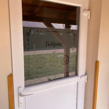 Tisza-i Apartmán *
